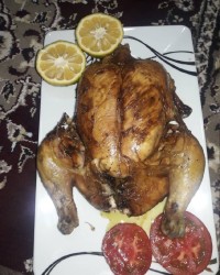 مرغ شکم پر شمالی