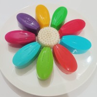 پاناکوتا رنگی