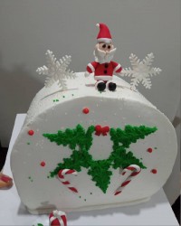 کیک زیبای زمستونی و کریسمسی که دختر گلم درست کرده