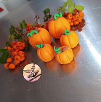 کدوهای خوشگل و نازه ققنوسی