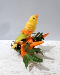 طوطی با زردک