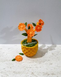 گلدان باکدوحلوایی