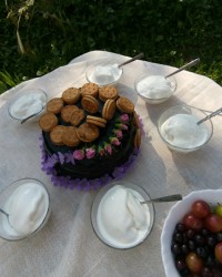 کیک تولد باسس کاکائویی ساده،بستنی وانیلی