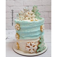 برف روی کاج ها!!