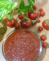 رب گوجه خانگی