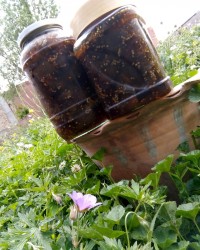 مربای بادمجون