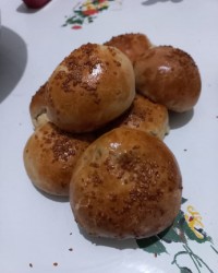 پولچا شکم پر