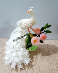 طاووس با شلغم