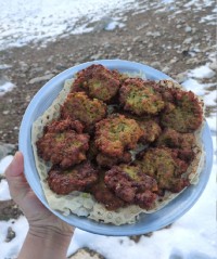 شامی کباب اصیل سنندج