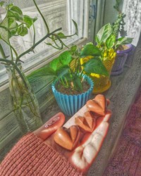 شکلات قالبی