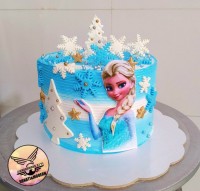 کیک زیبای السا