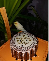 دو کیک برای روز مادر