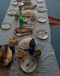 ماهی کبابی در فر جای همه خالی کنار عزیزان