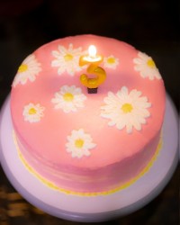 تولد خواهر کوچولو