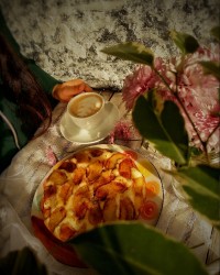 کیک سیب و دارچین یک تخم مرغی