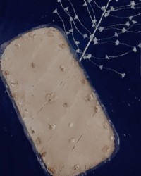 حلوای زنجبیلی