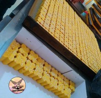 آخرین سری پخت نخودچی