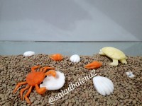 حکاکی ساحل دریا