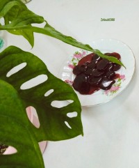 آبنبات پولکی