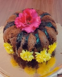 ڪیڪ شڪلاتے بے بے