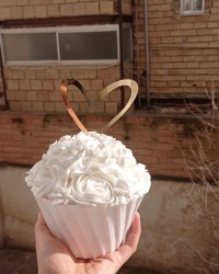 باگر کیک روز مرد