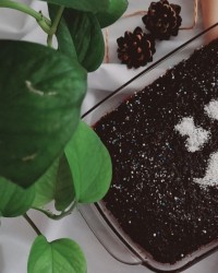 کیک خیس ترکیه ای