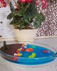 ژله دریا با لایه فرنی