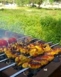 بال مرغ کبابی