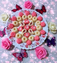 باسلوق قالبی