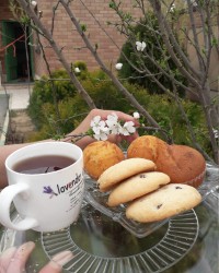 کیک یزدی و شیرینی کشمشی