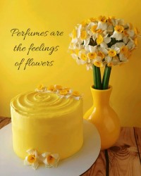 مینی کیک دلبر