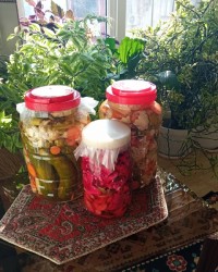 ترشی های امسالم