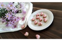 برسم ماه .. که پس از خورشید می آید!!!!