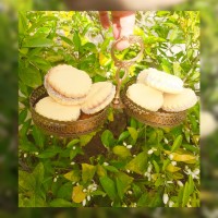 کوکی آلفاخر با سس دلسه دلچه