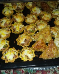 فینگیلی ،????