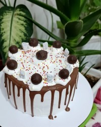 مینی کیک اسفنجی ورق بزنید لطفا