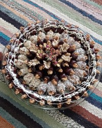 خرما برای مراسم پدر بزرگم