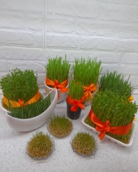 سبزه عید نوروز