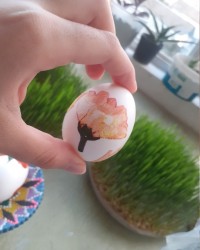 تخم مرغ رنگی های من