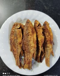 اینم از ناهار دیروز من جای همه دوستان عزیز خالی ?♥️