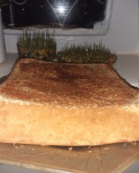 کیک گولوت ترکیه