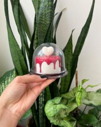 کوچیک ترین کیک دنیا