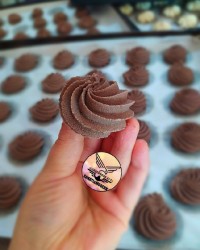 بهشتی پزون امروز