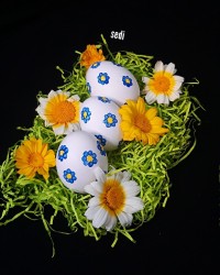 تخم مرغ های هفت سین ۱۴۰۱