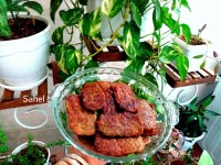 کتلت کاره خودم ساحل