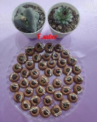 شیرینی الماسی (لطفا کپشن مطالعه شود)