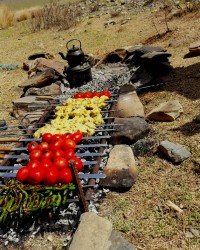 سیزده بدر