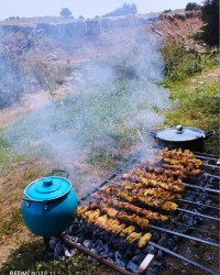 جوجه کباب در طبیعت کیارس