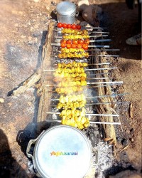 جوجه کباب سیزده بدر