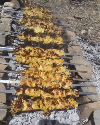 جوووووج،?????